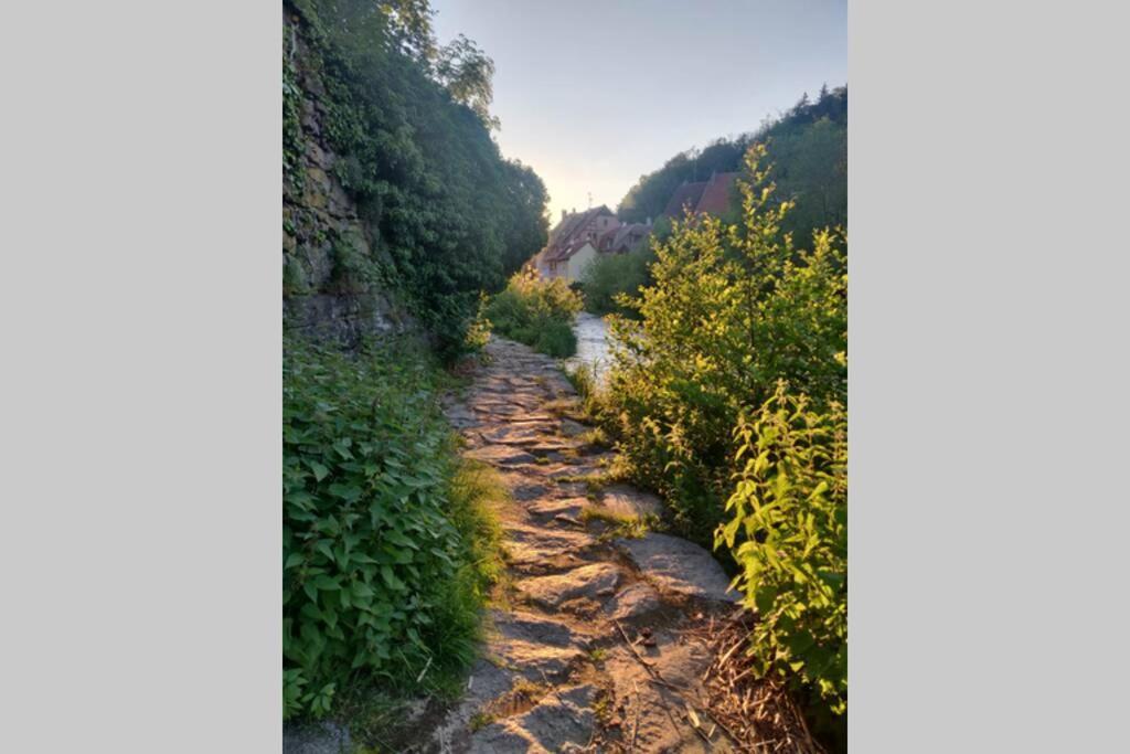 Clos Saint Jacques Thann Bagian luar foto
